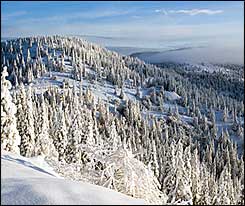 Oregon:  there's good skiing on Mt. Ashland